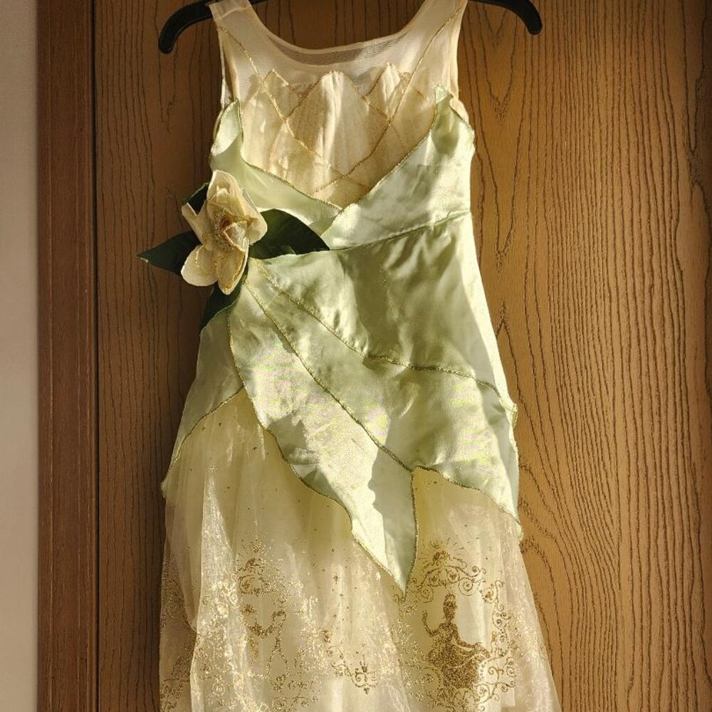 Disney princess tiana dress and accessories